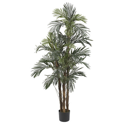 5' Robellini Palm Silk Tree Default Title