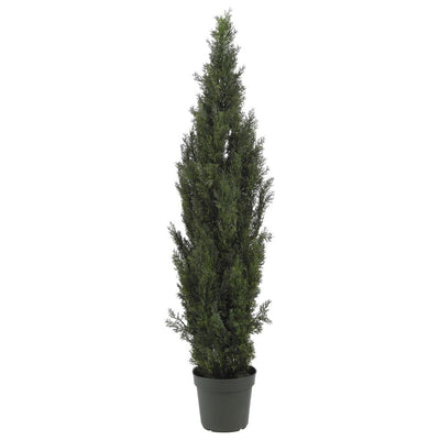 6' Mini Cedar Pine Tree (Indoor/Outdoor) Default Title