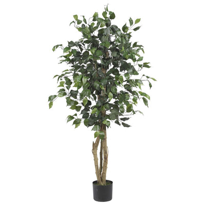 4' Ficus Silk Tree Default Title