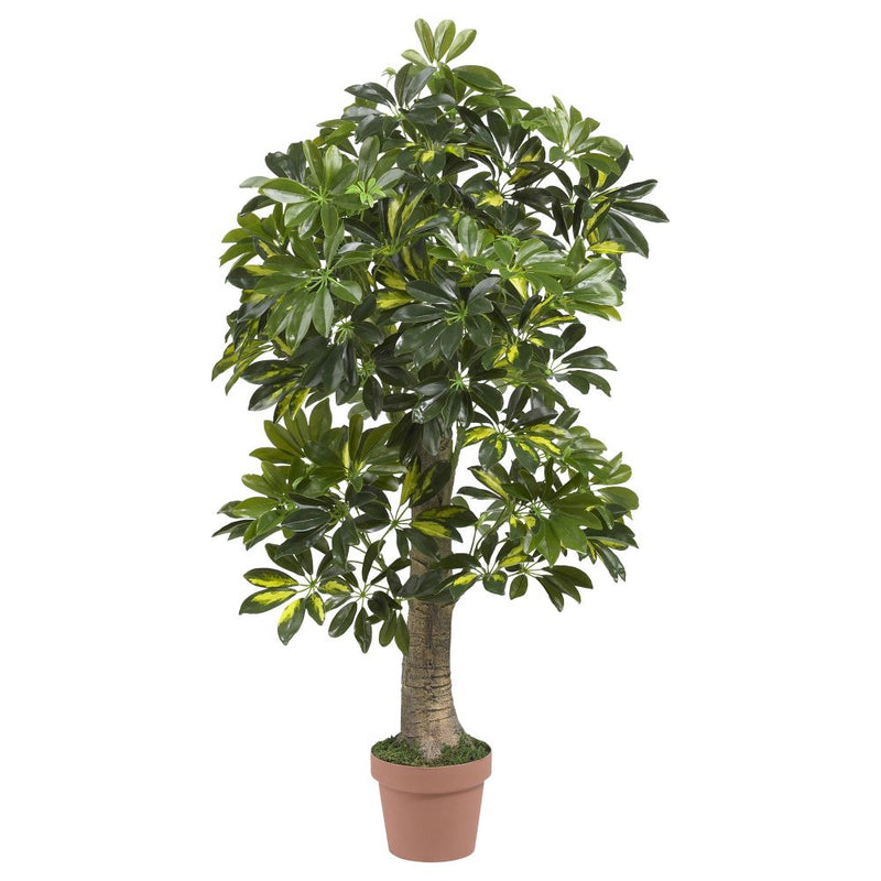 4’ Schefflera Silk Tree (Real Touch) Default Title