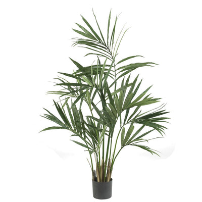 5' Kentia Palm Silk Tree Default Title