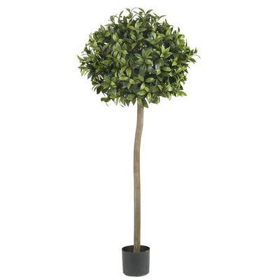 5' Sweet Bay Ball Topiary Silk Tree Default Title