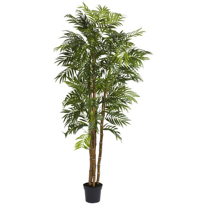 6' Bella Palm Silk Tree Default Title