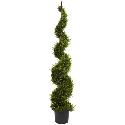 5' Cypress Spiral Tree Default Title