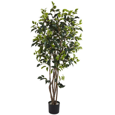 5' Ficus Bushy Silk Tree Default Title