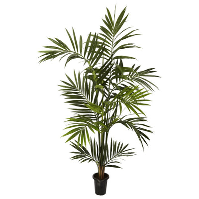 6' Kenitia Palm Silk Tree Default Title