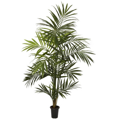 7' Kentia Palm Silk Tree Default Title