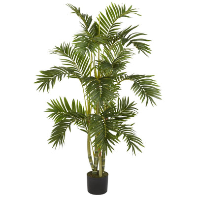 4' Areca Palm Silk Tree Default Title