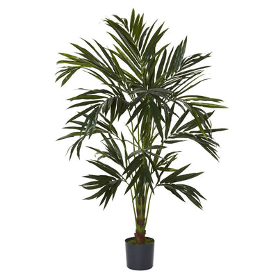 6' Kentia Silk Tree Default Title