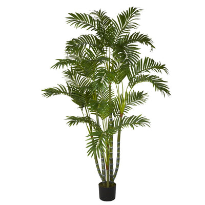 5' Areca Silk Tree Default Title