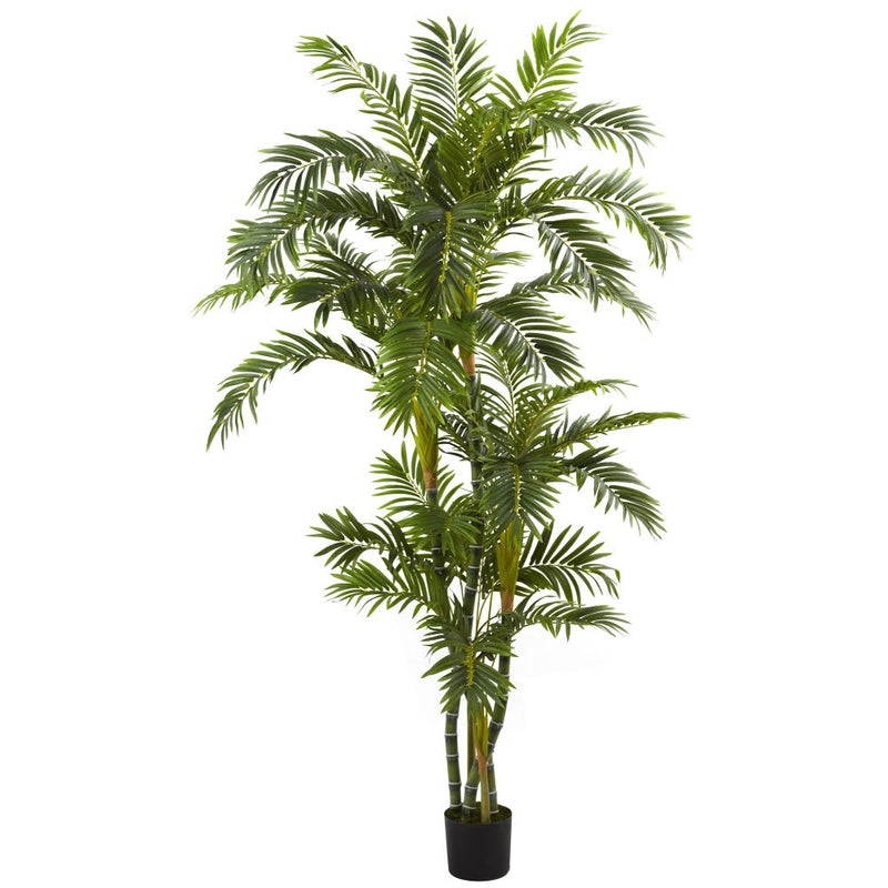 6’ Curvy Parlor Palm Silk Tree Default Title