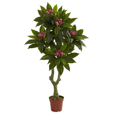 5' Plumeria Tree UV Resistant (Indoor/Outdoor) Default Title