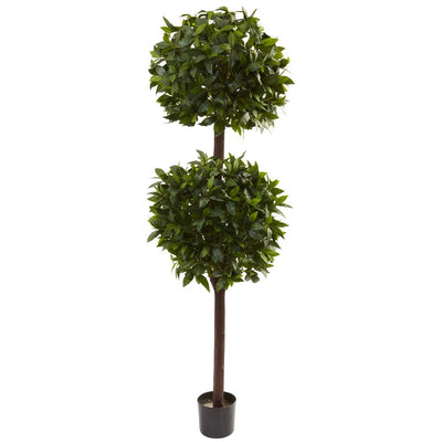 6’ Sweet Bay Double Ball Topiary Default Title