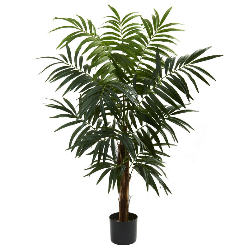 4.5’ Bulb Areca Tree Default Title