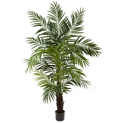 6’ Areca Palm Tree Default Title