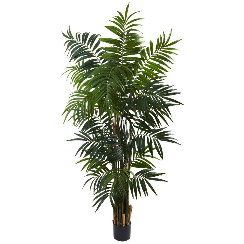 6’ Bulb Areca Palm Tree Default Title