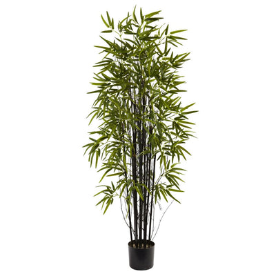 5’ Black Bamboo Tree Default Title