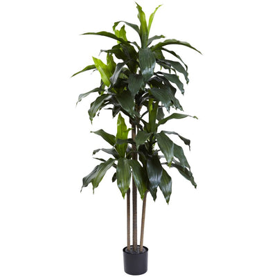 5’ Dracaena Plant UV Resistant (Indoor/Outdoor) Default Title