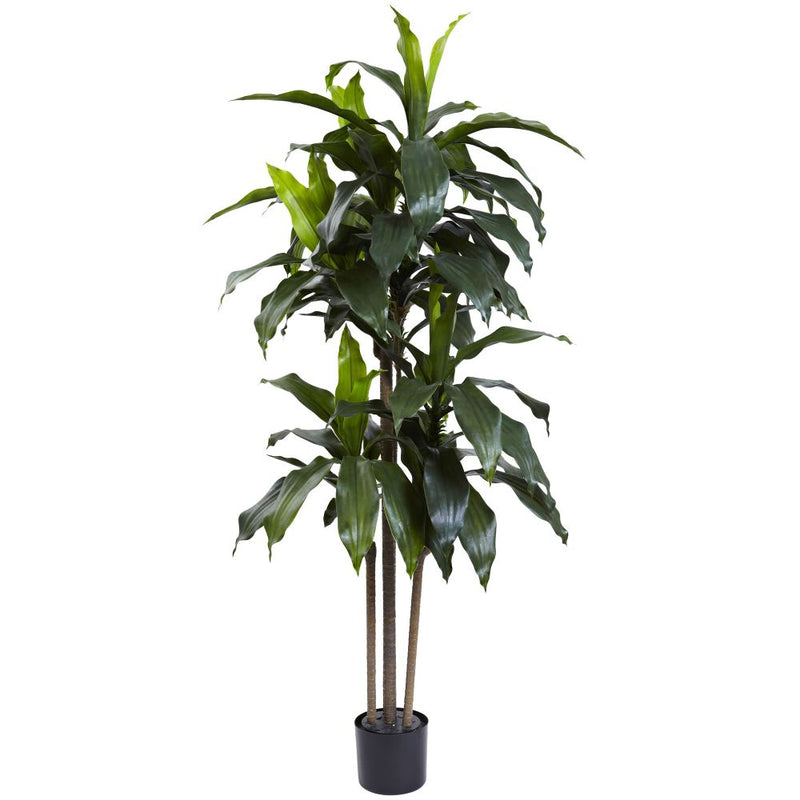 5’ Dracaena Plant UV Resistant (Indoor/Outdoor) Default Title