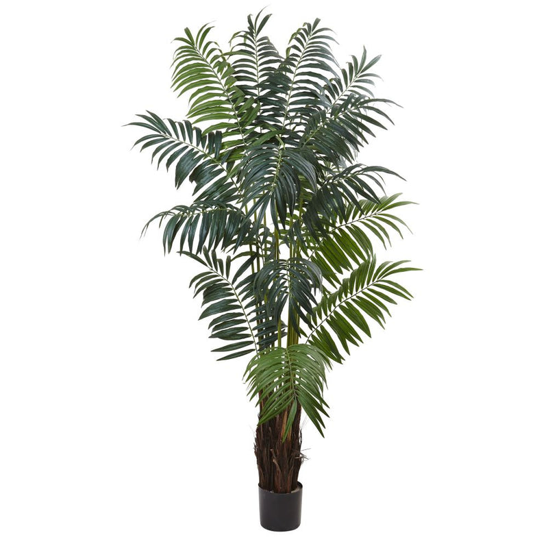 7.5’ Bulb Areca Palm Tree Default Title