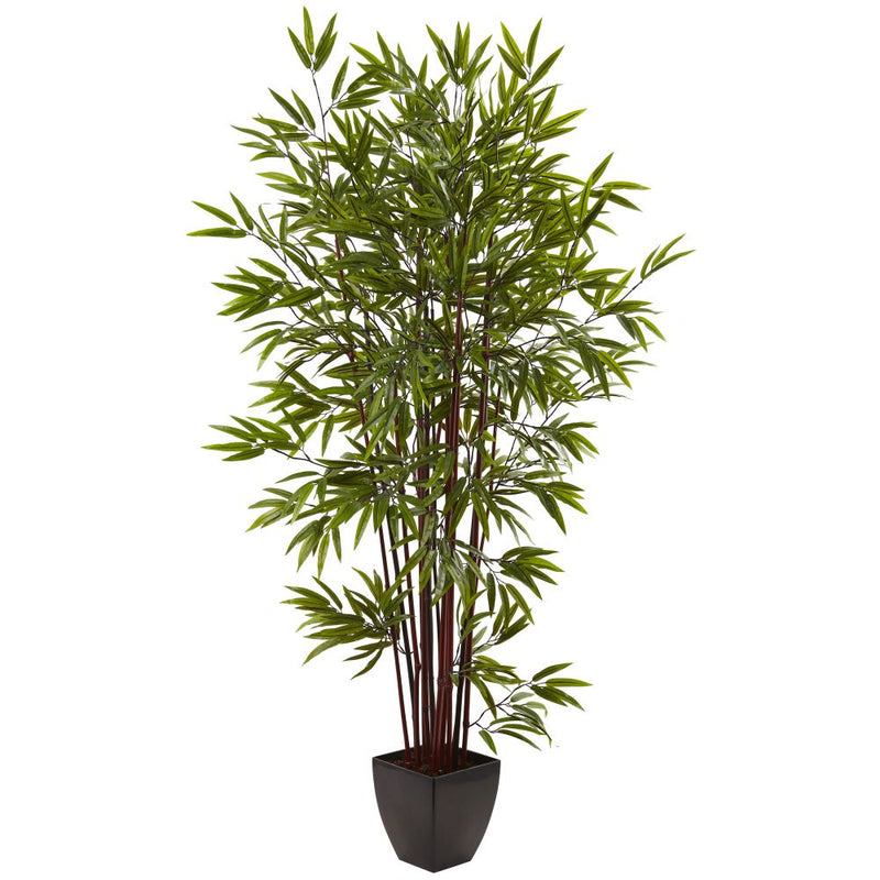 6’ Bamboo Silk Tree w/Planter Default Title