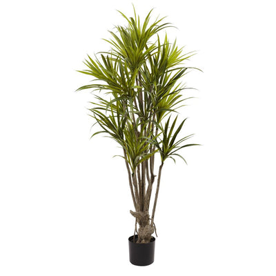 5’ Dracaena Silk Tree Default Title