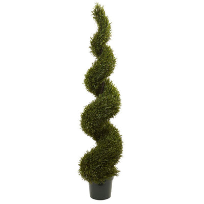 6' Rosemary Spiral Tree (Indoor/Outdoor) Default Title