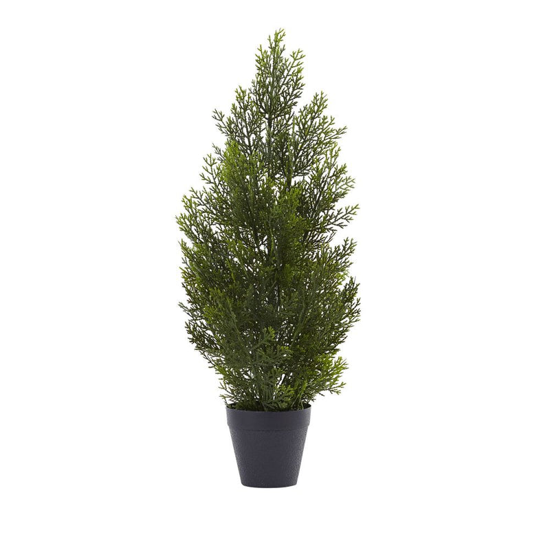 2’ Mini Cedar Pine Tree (Indoor/Outdoor) Default Title