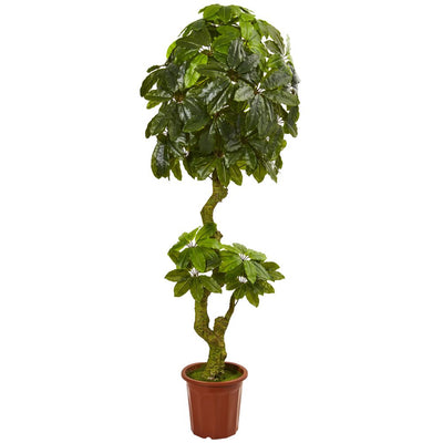 6' Schefflera Artificial Tree UV Resistant (Indoor/Outdoor) Default Title