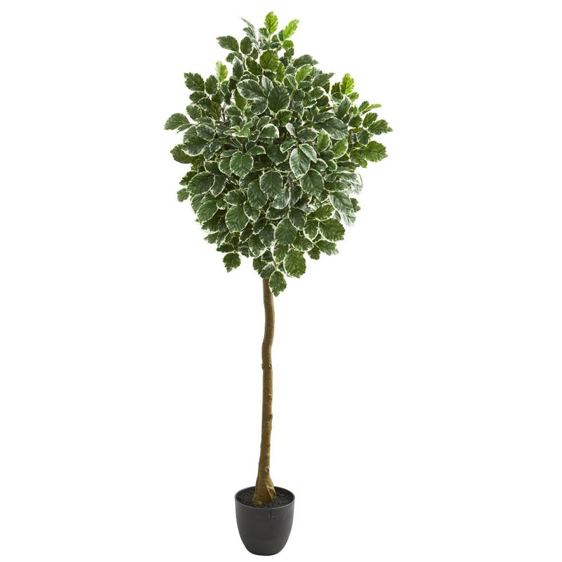 6” Variegated Aralia Artificial Tree Default Title