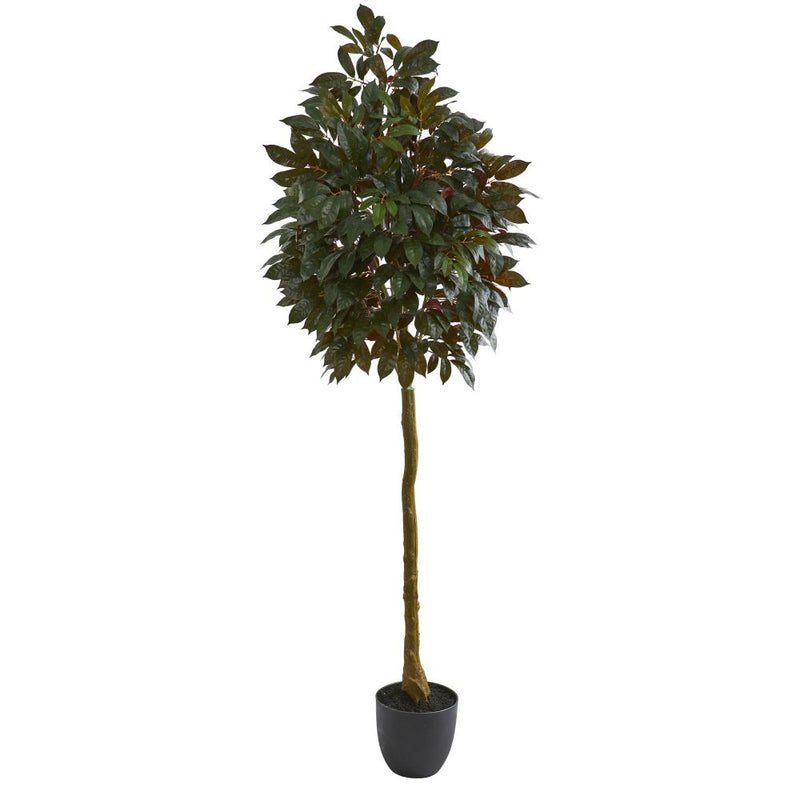 75” Capensia Ficus Artificial Tree Default Title