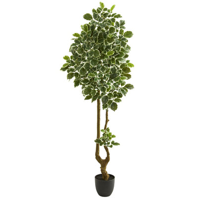 6.5’ Variegated Aralia Artificial Tree Default Title