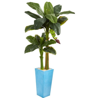 5.5’ Banana Artificial Tree in Turquoise Tower Vase Default Title