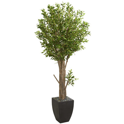 6.5' Olive Artificial Tree in Black Planter Default Title