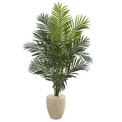 5.5' Paradise Artificial Palm Tree in Sand Colored Planter Default Title