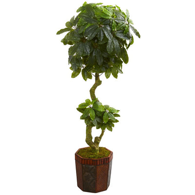 6' Schefflera Artificial Tree in Bamboo Planter Default Title