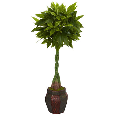 5’ Money Artificial Tree in Decorative Planter Default Title