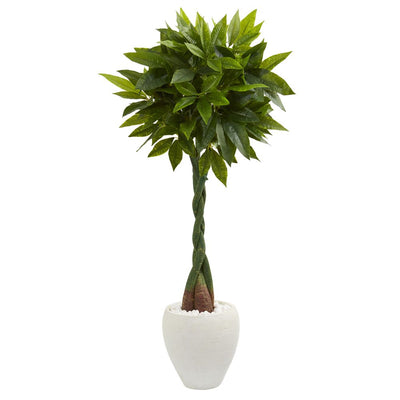 5’ Money Artificial Tree in White Oval Planter (Real Touch Default Title