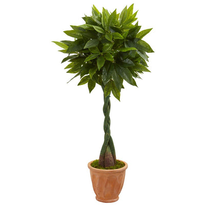 5’ Money Artificial Tree in Terracotta Planter (Real Touch) Default Title