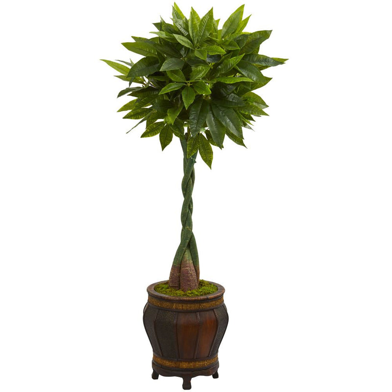 5’ Money Artificial Tree in Decorative Planter (Real Touch) Default Title