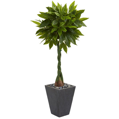 5’ Money Artificial Tree in Slate Planter (Real Touch) Default Title