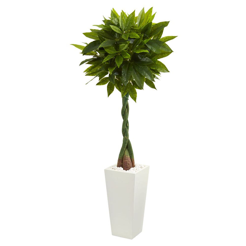 5.5’ Money Artificial Tree in White Tower Planter (Real Touch) Default Title