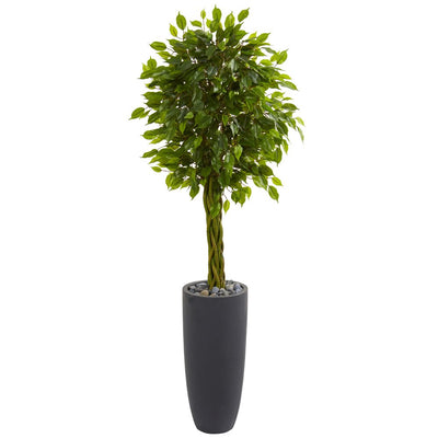 5.5’ Braided Ficus Artificial Tree in Gray Cylinder Planter UV Resistant (Indoor/Outdoor) Default Title