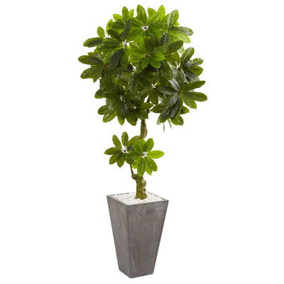 6’ Schefflera Artificial Tree in Cement Planter UV Resistant (Indoor/Outdoor) Default Title