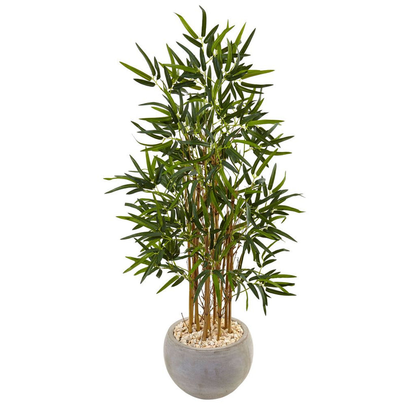 4’ Bamboo Tree in Sand Colored Bowl Default Title