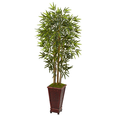 5’ Bamboo Tree in Decorative Planter Default Title