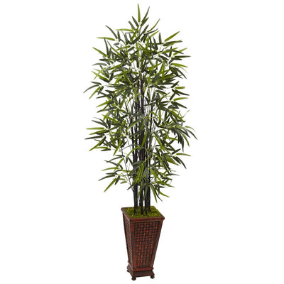 5.5’ Black Bamboo Tree in Decorative Planter Default Title