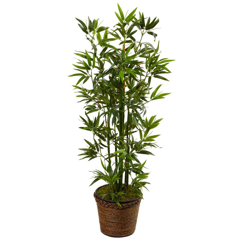 4’ Bamboo Tree in Coiled Rope Planter Default Title