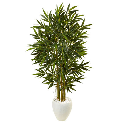 5.5’ Bamboo Tree in White Oval Planter Default Title