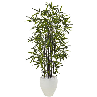 5’ Black Bamboo Tree in White Oval Planter Default Title